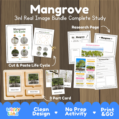 Mangrove plant 3in1 real image bundle complete study printable featuring life cycle cut and paste worksheets, Montessori 3-part cards, and research pages