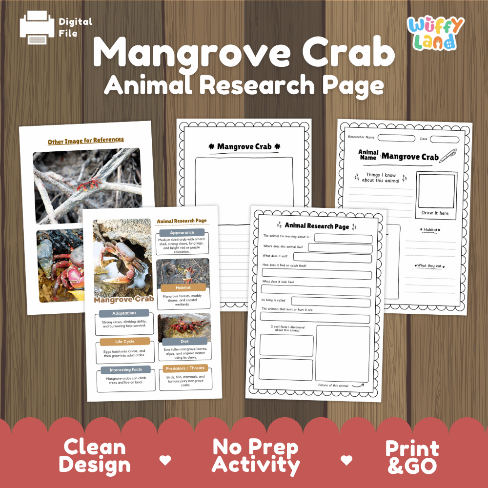 Mangrove Crab Animal Research Page Worksheets and Fact Sheet Activity