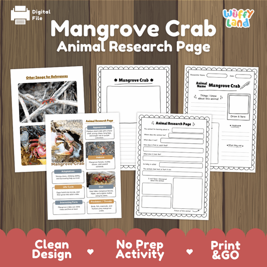 Clean design no prep print and go mangrove crab crustacean coastal wetland estuary animal life cycle study printable PDF pack for elementary science
