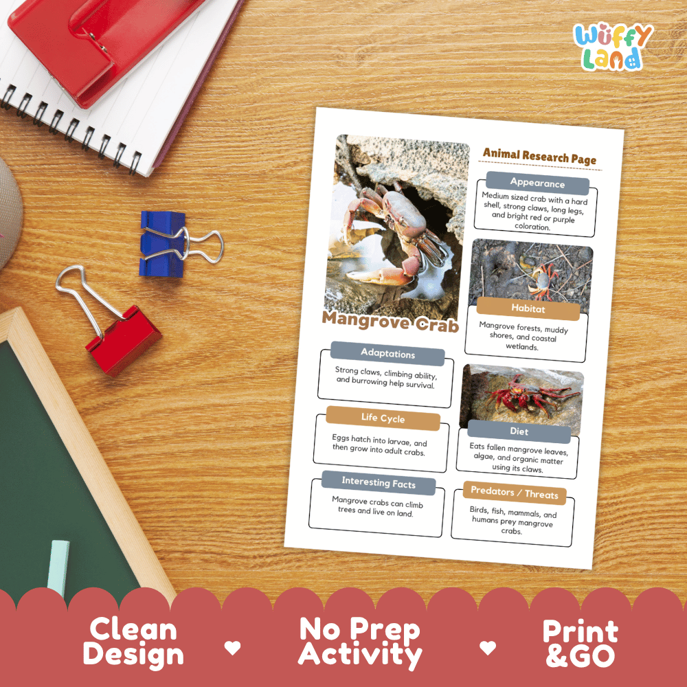 Mangrove Crab Animal Research Page Worksheets and Fact Sheet Activity