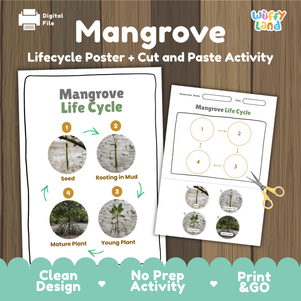 Mangrove Life Cycle Poster and Cut and Paste Activity Worksheets