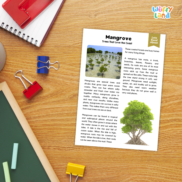 Mangrove Plant Reading Passages and Comprehension Questions Worksheets