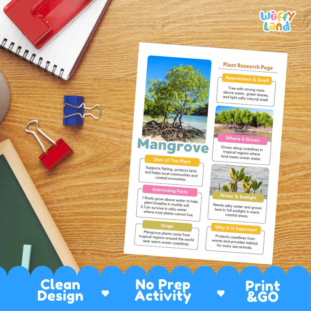 Mangrove Plant Research Page Worksheets and Fact Sheet