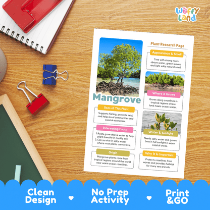 Mangrove Plant Research Page Worksheets and Fact Sheet