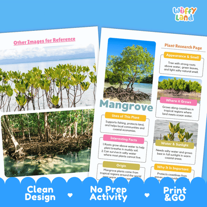 Mangrove Plant Research Page Worksheets and Fact Sheet