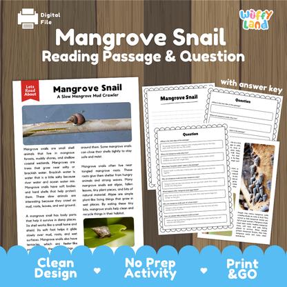 Mangrove Snail Reading Passage and Questions Worksheets with Answer Key