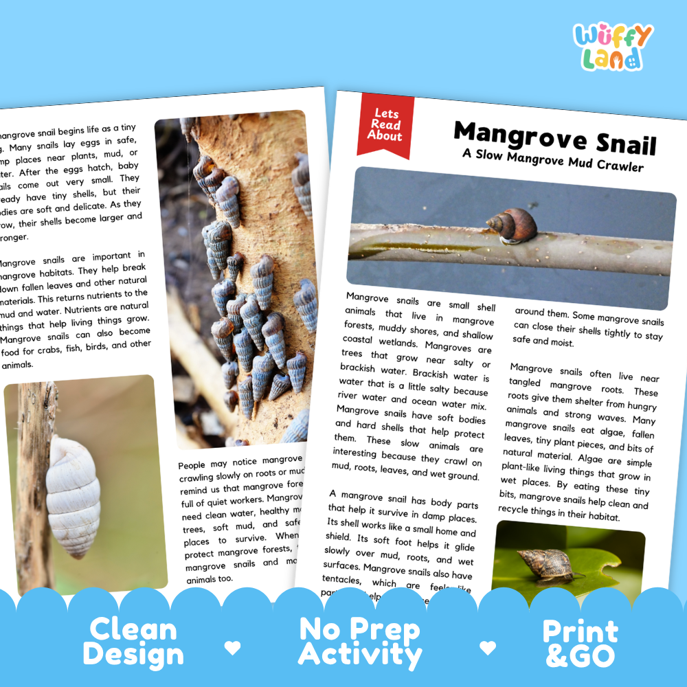 Mangrove Snail Reading Passage and Questions Worksheets with Answer Key