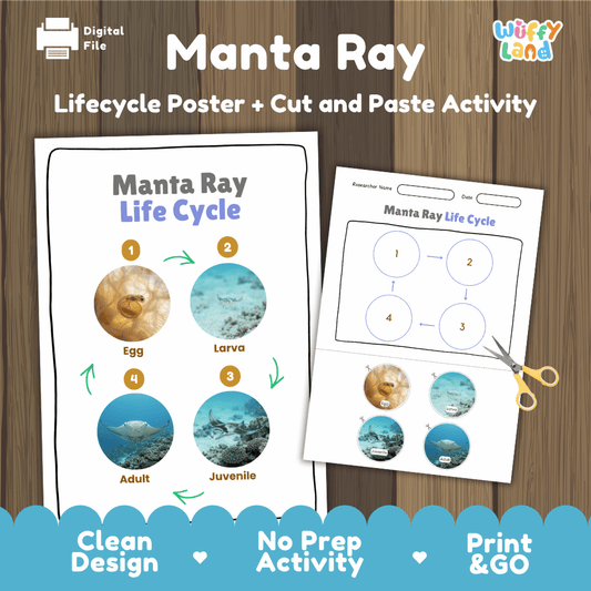 Manta Ray Life Cycle Poster and Cut and Paste Worksheet Activity