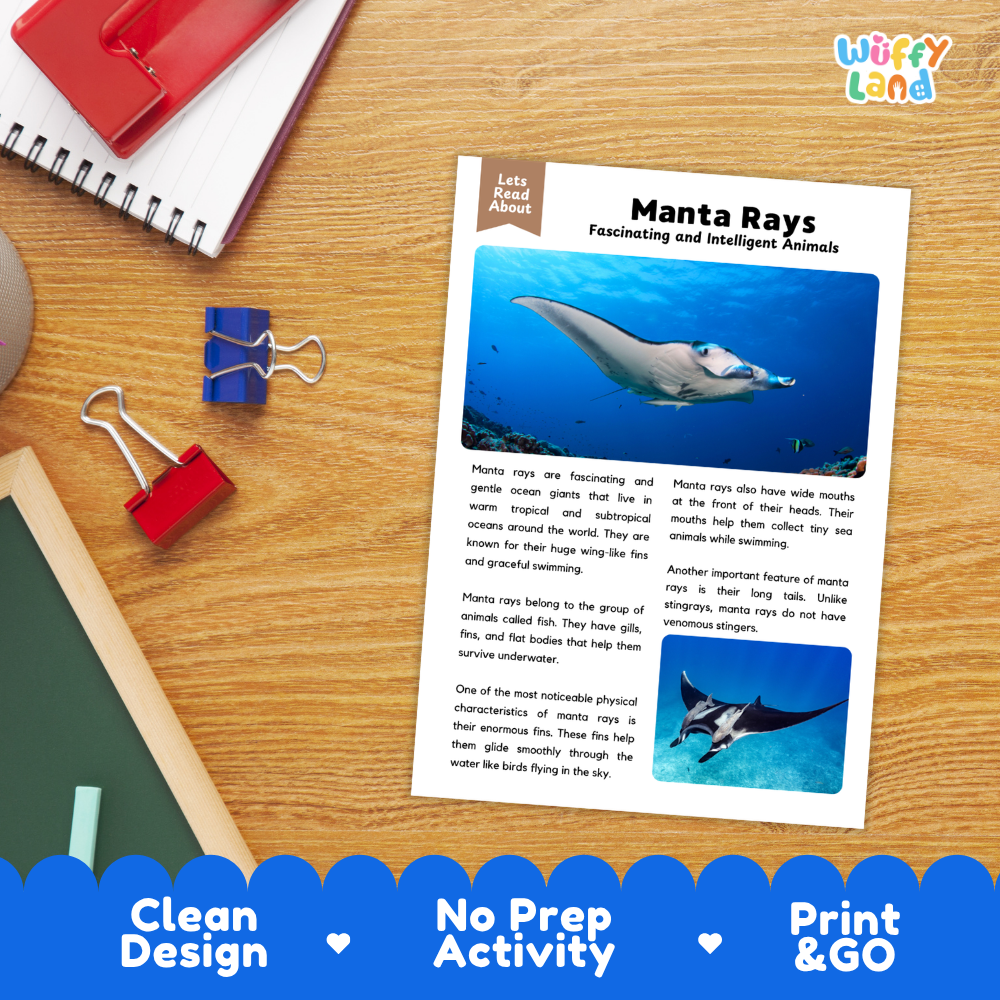 An educational reading activity sheet titled 'Manta Rays: Fascinating and Intelligent Animals' displayed on a wooden desk with binder clips and a notebook. The sheet features text and illustrations of manta rays, with a blue 'Wiffly Land' brand banner at the bottom of the photo.