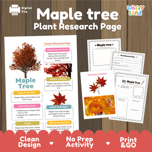 Student plant research page writing worksheets with real red autumn maple leaves photos, lined note-taking prompts, and drawing frames