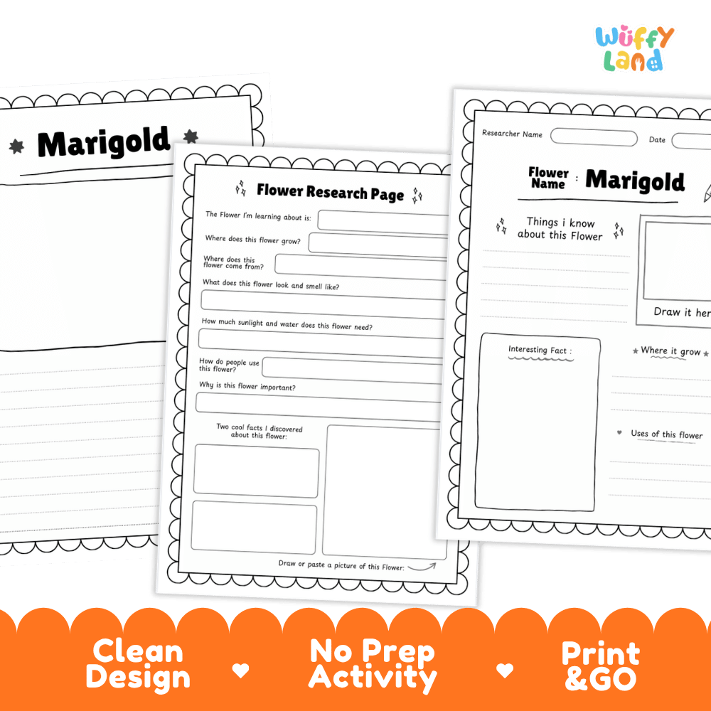 Marigold Plant Research Page and Worksheets Print and Go Activity