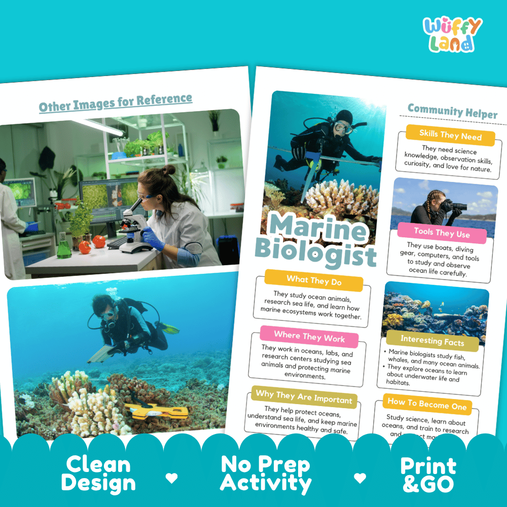 Print and go digital PDF writing worksheets with clean design layout, researcher name line, and zero prep classroom format