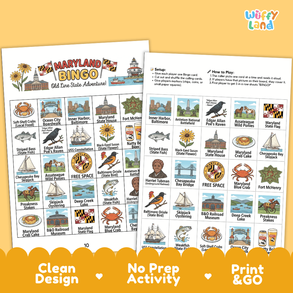 Maryland Geography BINGO Game Old Line State Activity Printable Boards