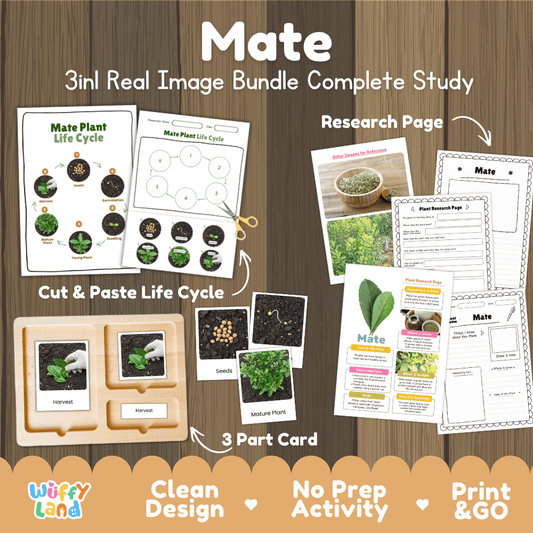 Mate plant 3in1 real image bundle complete study printable featuring life cycle cut and paste worksheets, Montessori 3-part cards, and research pages