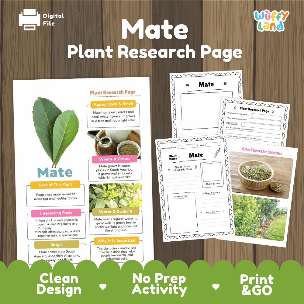 Mate Plant Research Page Worksheets and Information Poster