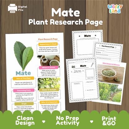 Mate Plant Research Page Worksheets and Information Poster