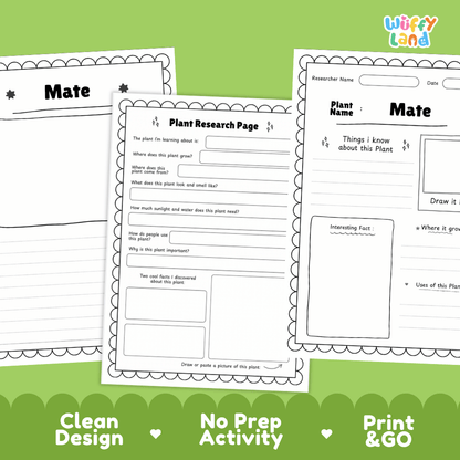 Mate Plant Research Page Worksheets and Information Poster