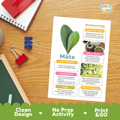 Mate Plant Research Page Worksheets and Information Poster