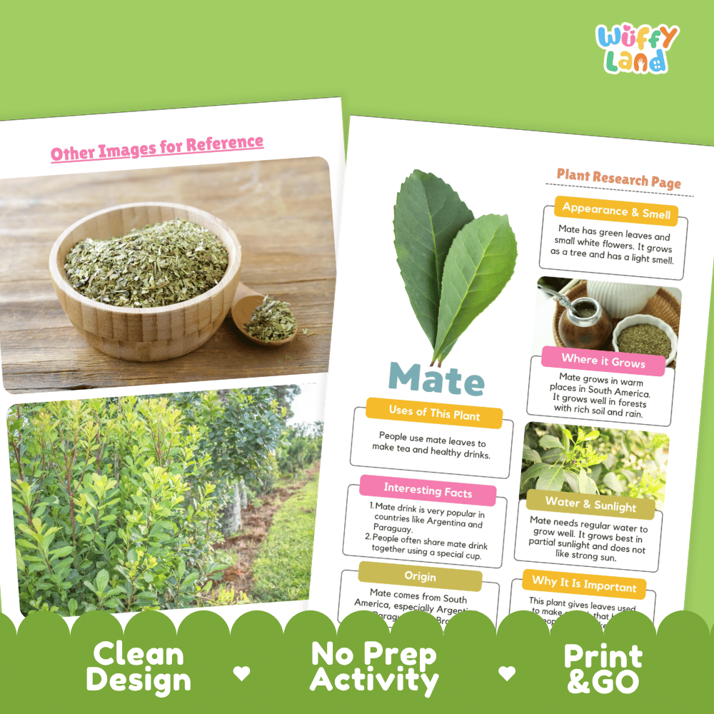 Mate Plant Research Page Worksheets and Information Poster