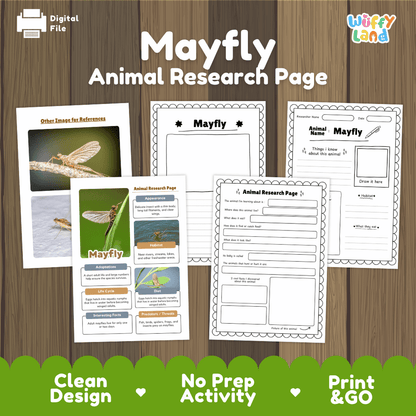 Mayfly Animal Research Page Worksheets and Fact Sheet Activity