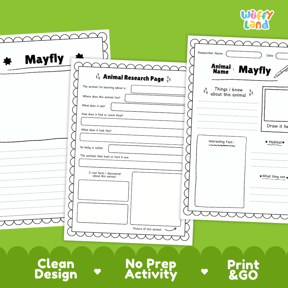 Mayfly Animal Research Page Worksheets and Fact Sheet Activity