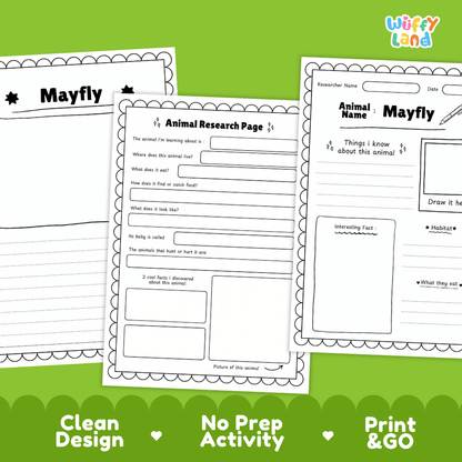 Mayfly Animal Research Page Worksheets and Fact Sheet Activity
