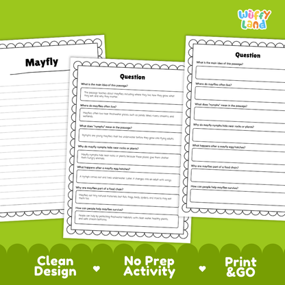 Mayfly Reading Passage and Comprehension Questions with Answer Key Worksheets