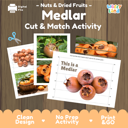Medlar cut and match activity cover showing printable fine motor puzzle sheets and fruit photographs