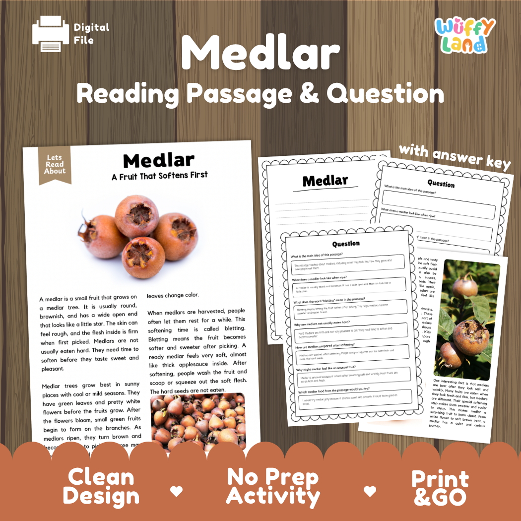 Medlar reading comprehension passage and questions printable activity pack with answer key for elementary students