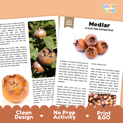 Teacher answer key page showing complete question solutions for Medlar nature and science reading comprehension practice