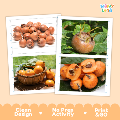 Printable activity sheets featuring photographic medlar puzzle boards and cutting guides