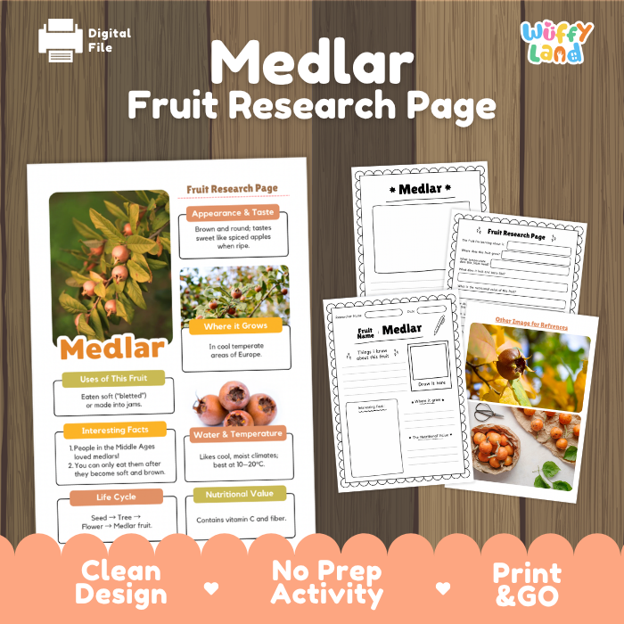 Digital product preview for a 'Medlar Fruit Research Page' activity sheet by Wuffyland, displayed on a wood-grain background with promotional text and sample page layouts.