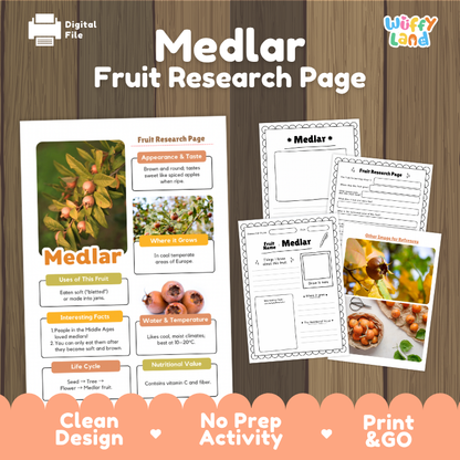 Digital product preview for a 'Medlar Fruit Research Page' activity sheet by Wuffyland, displayed on a wood-grain background with promotional text and sample page layouts.