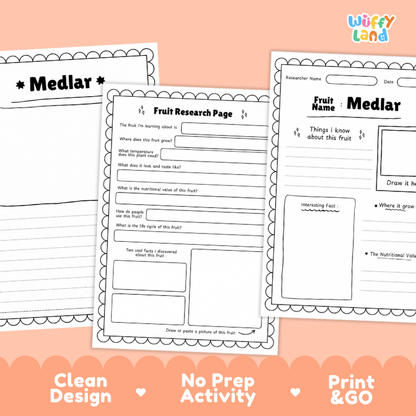 Three printable worksheet pages for a fruit research activity are shown on a peach background. The pages feature black text and line drawings on white paper, with one page titled 'Medlar' and others about fruit research.
