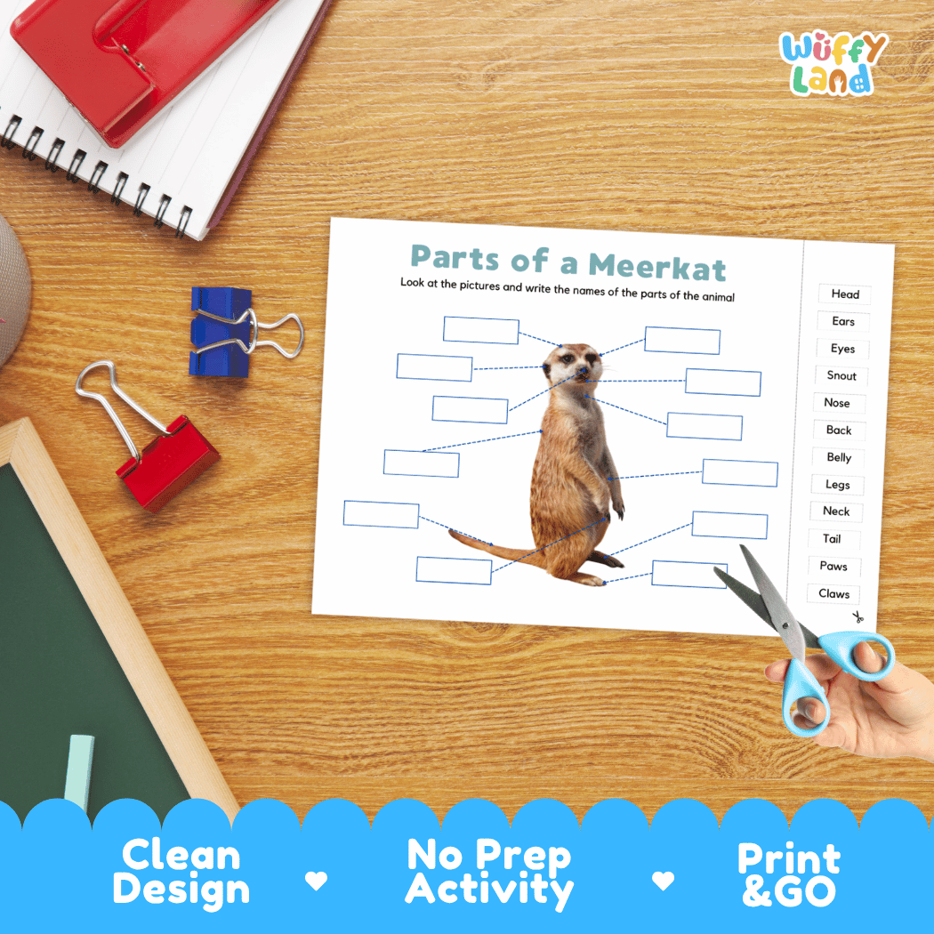 Hands-on meerkat anatomy cut and paste worksheet with printable word tags, callout pointer lines, and scissors graphic