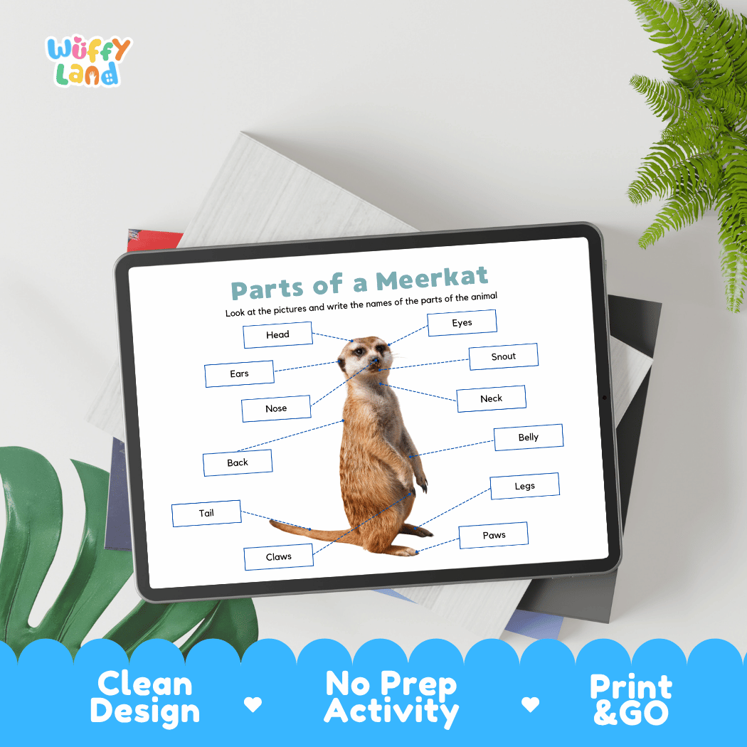 Differentiated meerkat body parts labeling worksheets featuring fill-in write-in boxes and vocabulary word bank