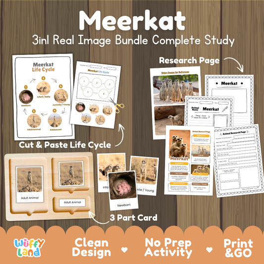Meerkat 3-in-1 real image bundle complete study cover showing cut and paste life cycle, 3 part cards, and research pages
