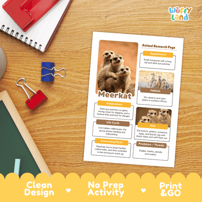 A printed educational worksheet titled 'Animal Research Page' about a meerkat, shown on a wooden desk with notebooks, binder clips, and a chalkboard. The sheet includes a meerkat photo, text sections, and the brand name 'Wiffly land' in the top right corner.