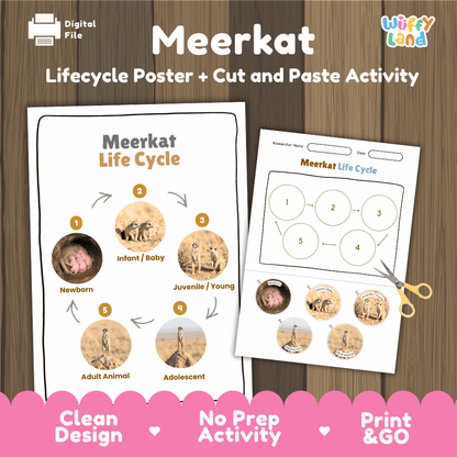 Meerkat Life Cycle Poster and Cut and Paste Worksheet Activity