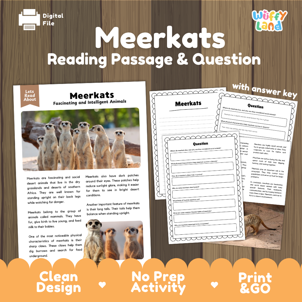 Meerkats Reading Passage and Comprehension Questions Worksheets with Answer Key