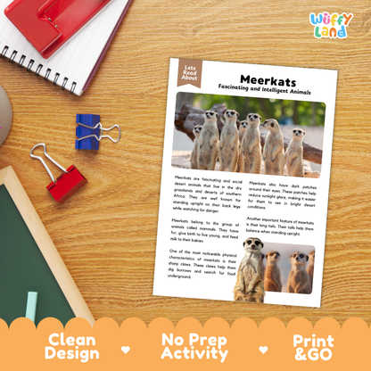 An educational activity sheet about Meerkats, styled on a wooden desk with a spiral notebook, red binder clips, and a red folder. The sheet features text and photos of meerkats, with an orange banner at the bottom reading 'Clean Design', 'No Prep Activity', and 'Print & GO'.
