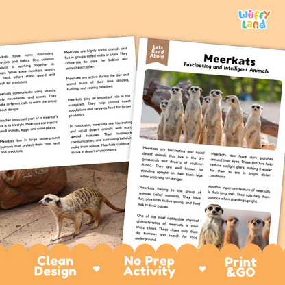 Meerkats Reading Passage and Comprehension Questions Worksheets with Answer Key