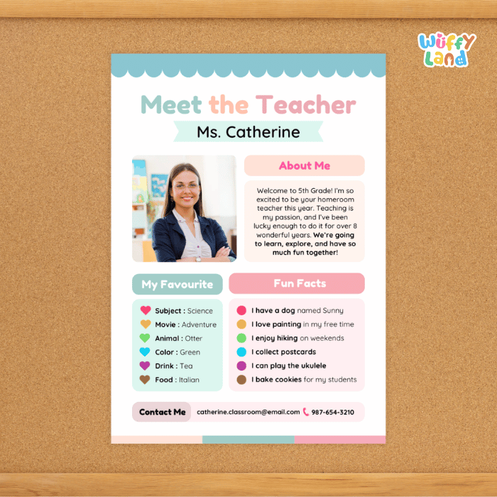 Meet the Teacher An Introduction for Your Classroom Editable PowerPoint Template