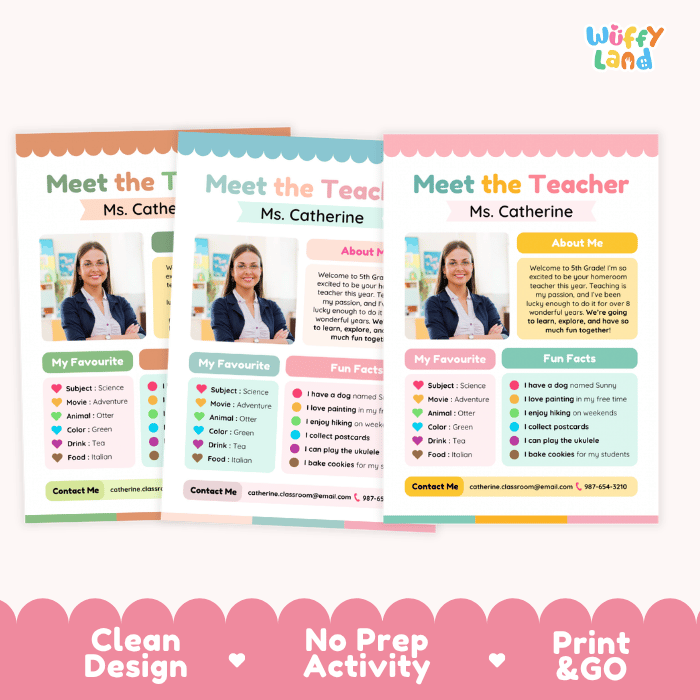 Meet the Teacher An Introduction for Your Classroom Editable PowerPoint Template