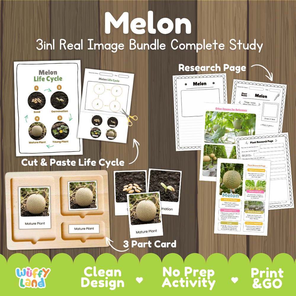 Melon plant 3in1 real image bundle complete study printable featuring life cycle cut and paste worksheets, Montessori 3-part cards, and research pages