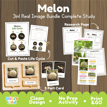 Melon plant 3in1 real image bundle complete study printable featuring life cycle cut and paste worksheets, Montessori 3-part cards, and research pages