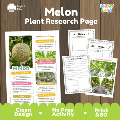 Student plant research page writing worksheets with real close up ripe melon fruit on ground vines, lined note-taking prompts, and drawing frames