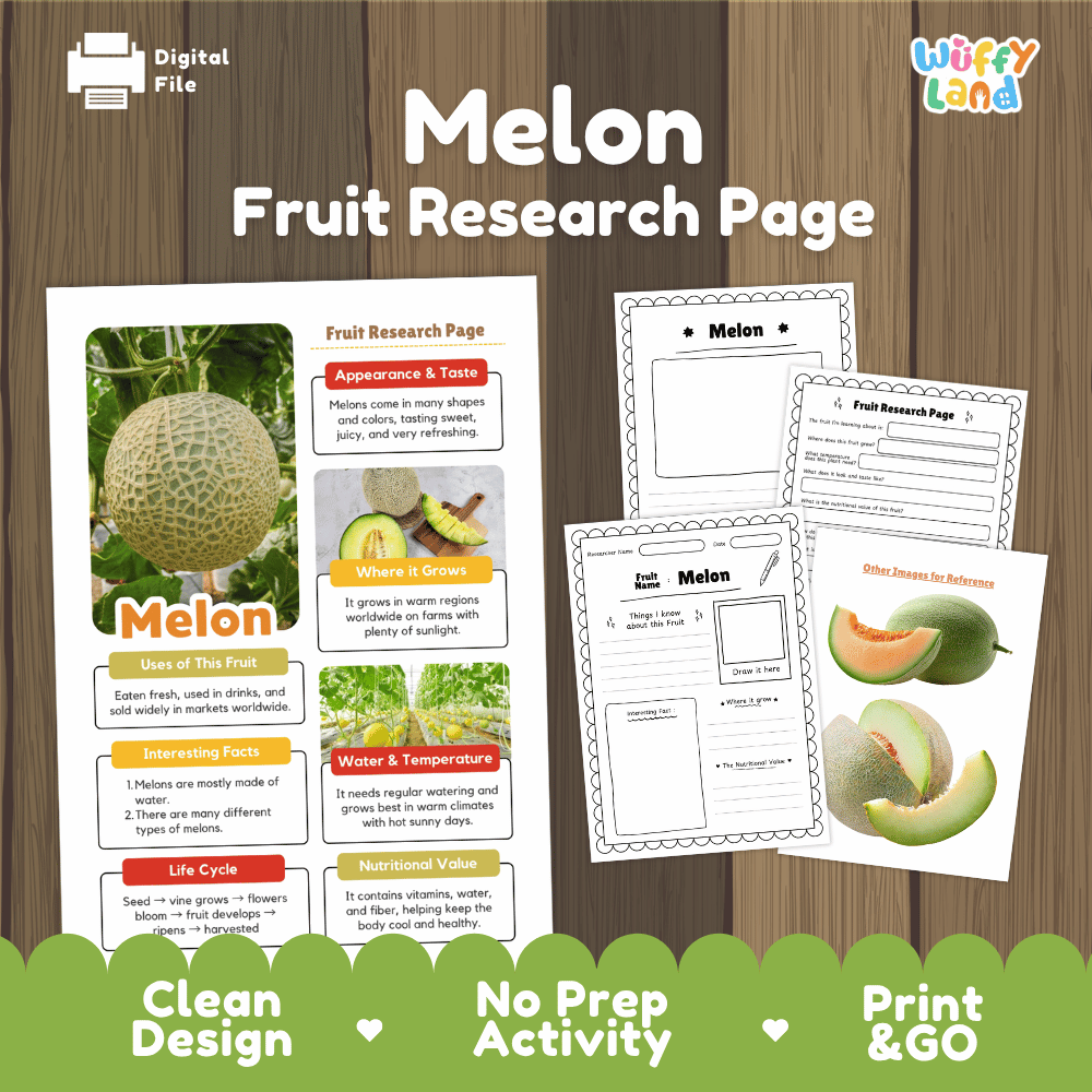 Melon Fruit Research Page Worksheets and Fact Sheet