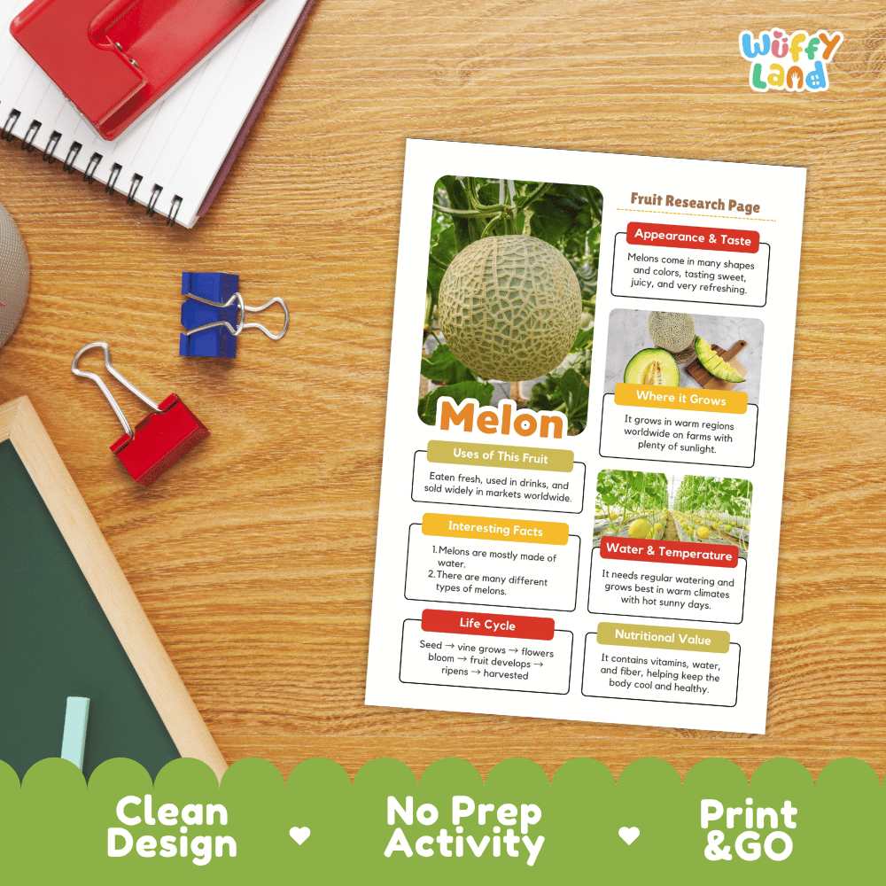 Melon Fruit Research Page Worksheets and Fact Sheet