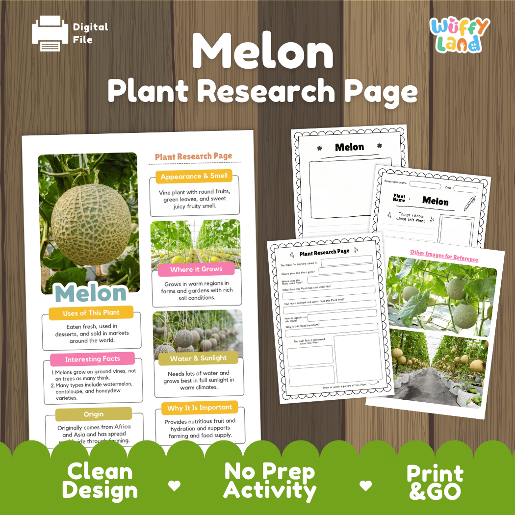Melon Plant Research Page Worksheets and Fact Sheet